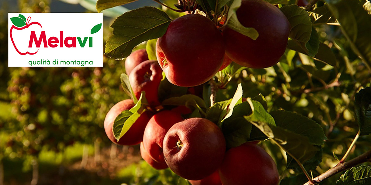 Melavì chiude i battenti: 71 lavoratori a rischio 